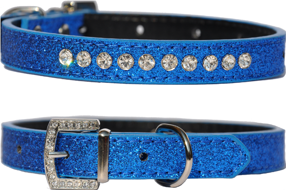 Candy Finish Blueberry Coloured Dog Collar With Rhinestone - Buckle (555x700), Png Download