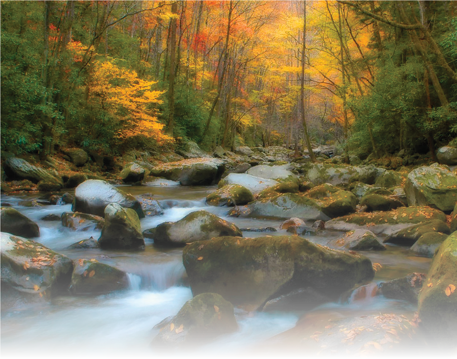 Autumn Stream Landscape Art Painting (1480x1173), Png Download