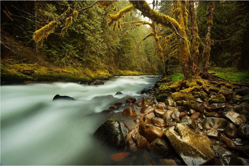 Medium Image - George Santayana The Earth Has Music For Those Who (800x535), Png Download