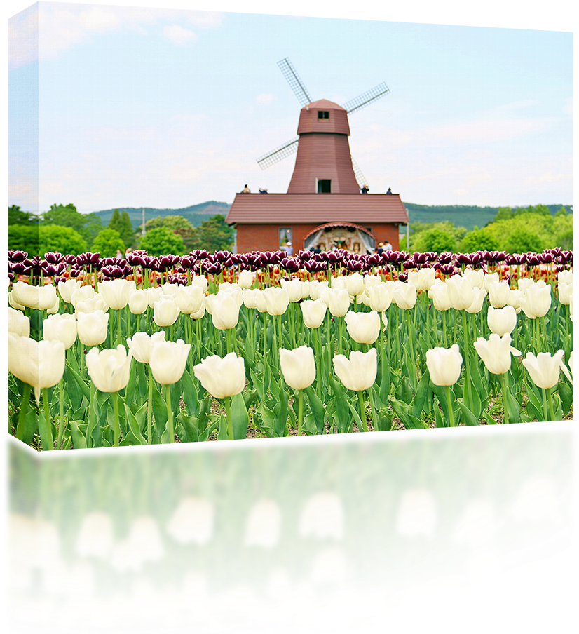 Windmill (1024x1024), Png Download