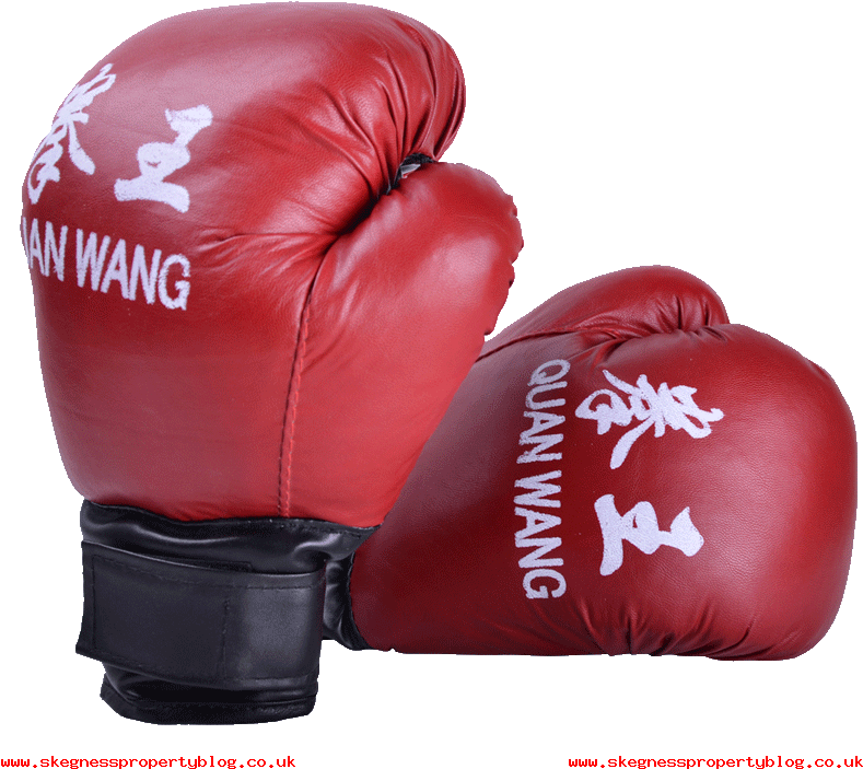 Walker Martial Arts Shot Boxing Gloves Adult Exercise - Amateur Boxing (800x800), Png Download
