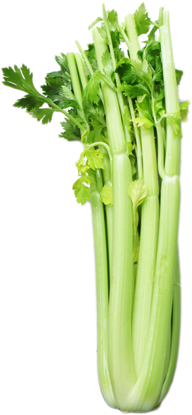 Celery - Broccoli - Leaf Vegetable (480x640), Png Download
