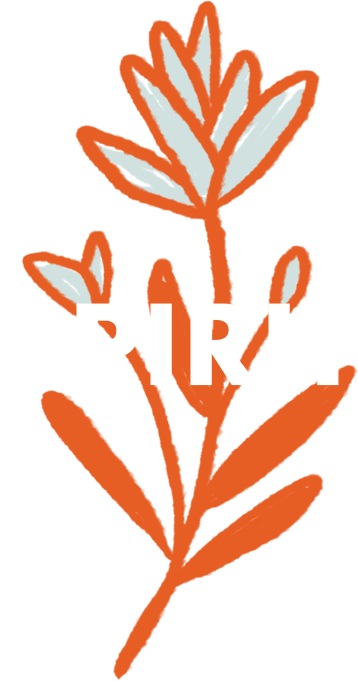 Spirit - Illustration (559x697), Png Download