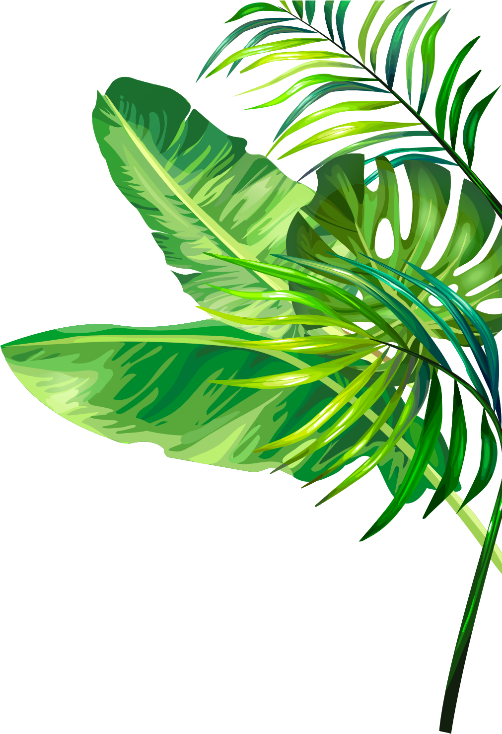 The Little Flower Shop (1074x1520), Png Download