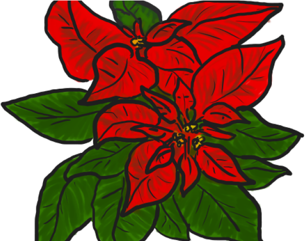 Garland Clipart Poinsettia - Poinsettia (640x480), Png Download