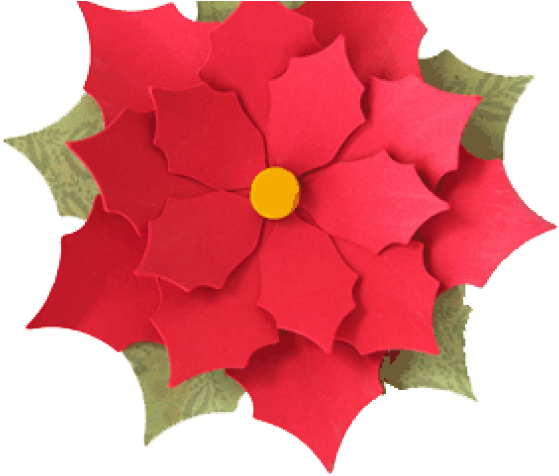 Annual Plant (640x480), Png Download