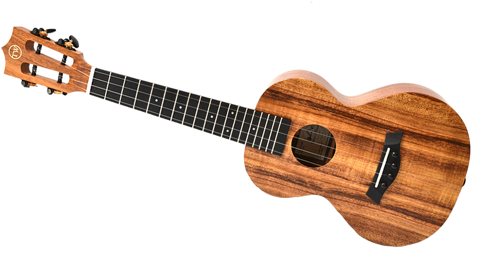 Regarded As Two Of The Top Ukulele Strings On The Market - Acoustic Guitar (988x582), Png Download