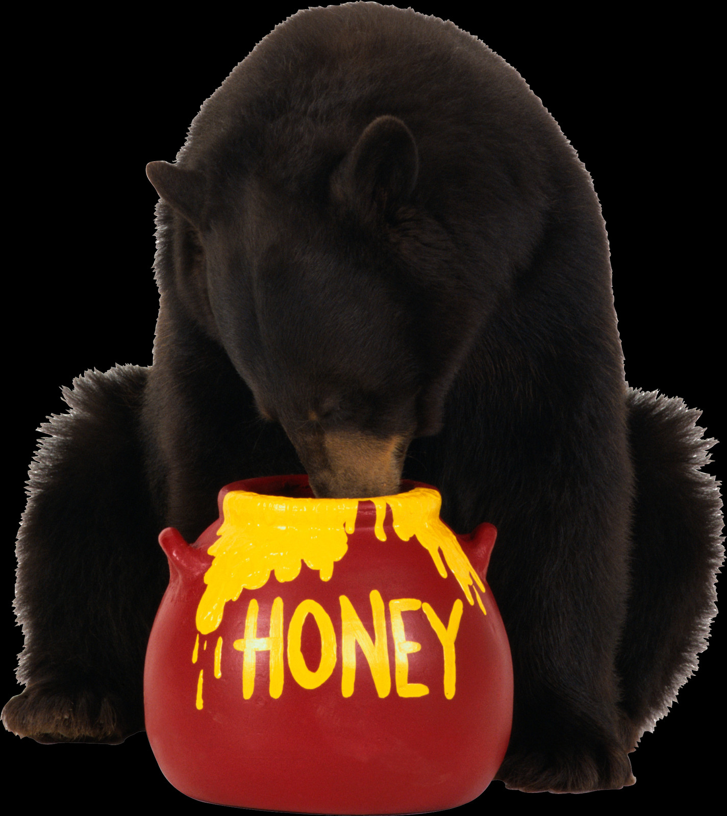 Bear Eating Honey (1425x1600), Png Download