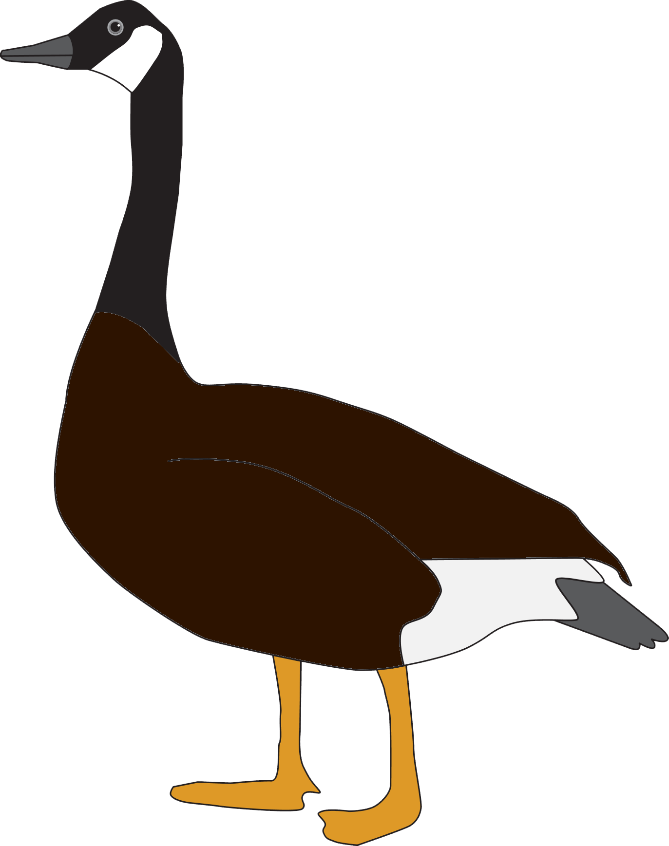 Goose Free Pictures - Goose Png (1373x1737), Png Download