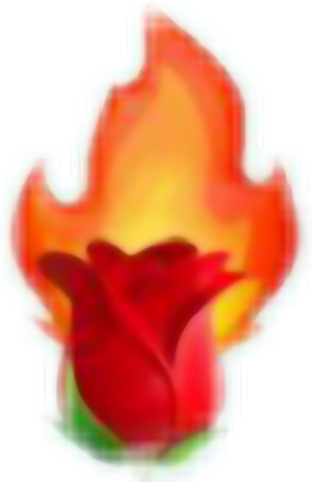 #rose Fire Tumblr Aesthetic Aestheticred Red Emojis - Tulip (1024x1579), Png Download