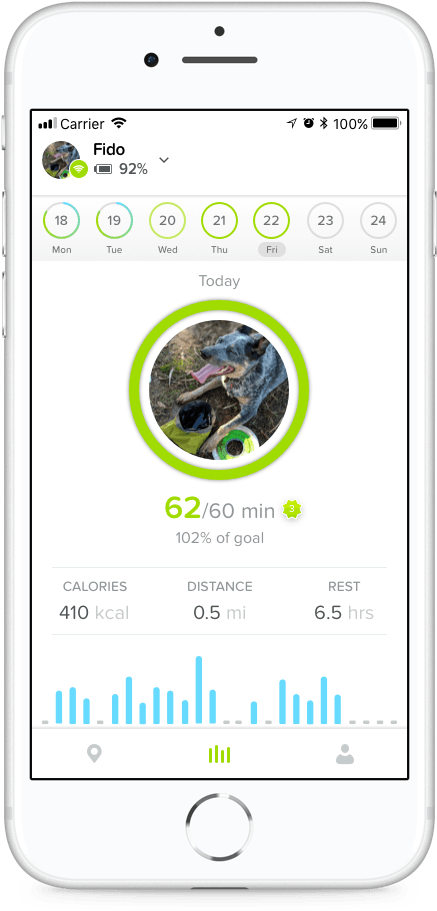 Get Started With Whistle - Iphone (665x1057), Png Download