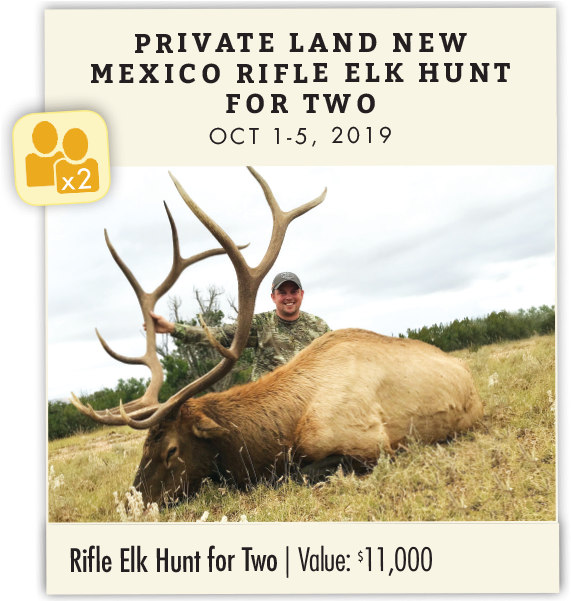 Private Land New Mexico Rifle Elk Hunt For Two - Elk (600x600), Png Download