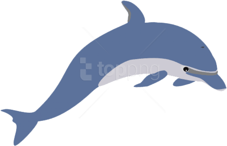 Free Png Download Cute Clipart Dolphin Clipart Png - Dolphin Clipart (850x549), Png Download