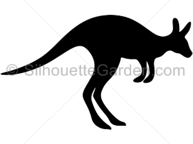 Silhouette Clipart Kangaroo - Kangaroo (640x480), Png Download