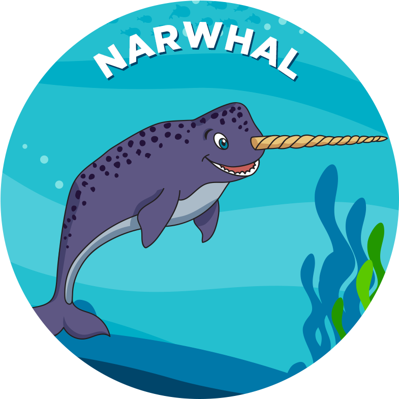 Narwhal - Shark (800x800), Png Download