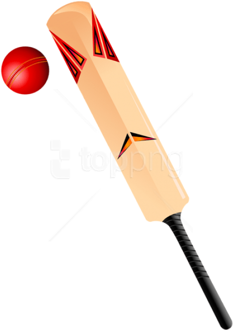 Free Png Download Cricket Png Images Background Png (480x670), Png Download