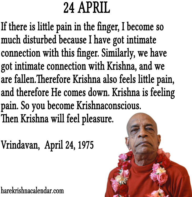24 April - Srila Prabhupada Quotes December (800x800), Png Download