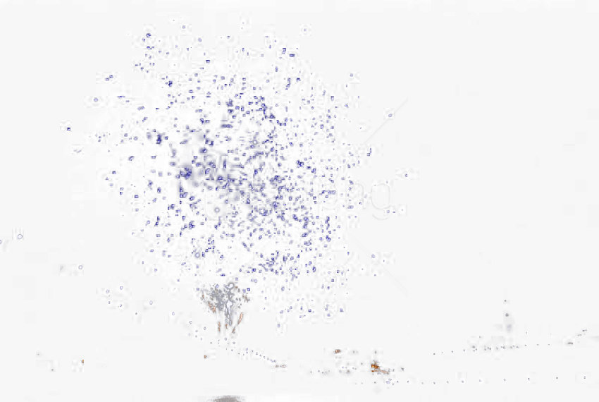 Download Light Png Images Background - Bird Migration (850x570), Png Download