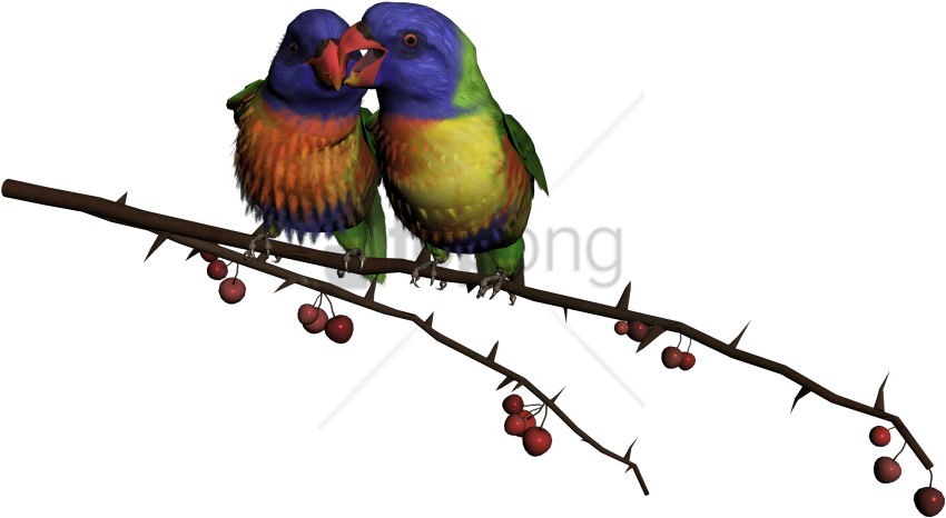Free Png Beautiful Flying Birds Png Image With Transparent - Beautiful Flying Birds Png (850x466), Png Download