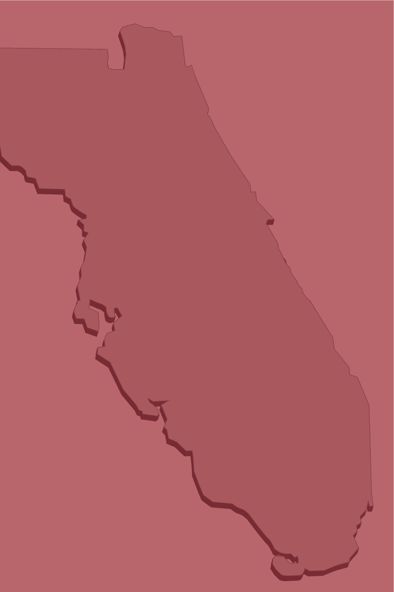 Florida Map Background 01scott2017 11 07t12 - Map (800x1200), Png Download