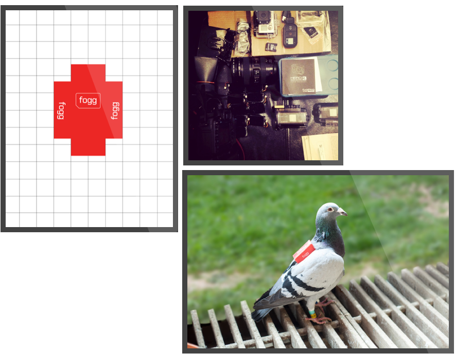 Foggtweetpics - Magpie (1500x1000), Png Download