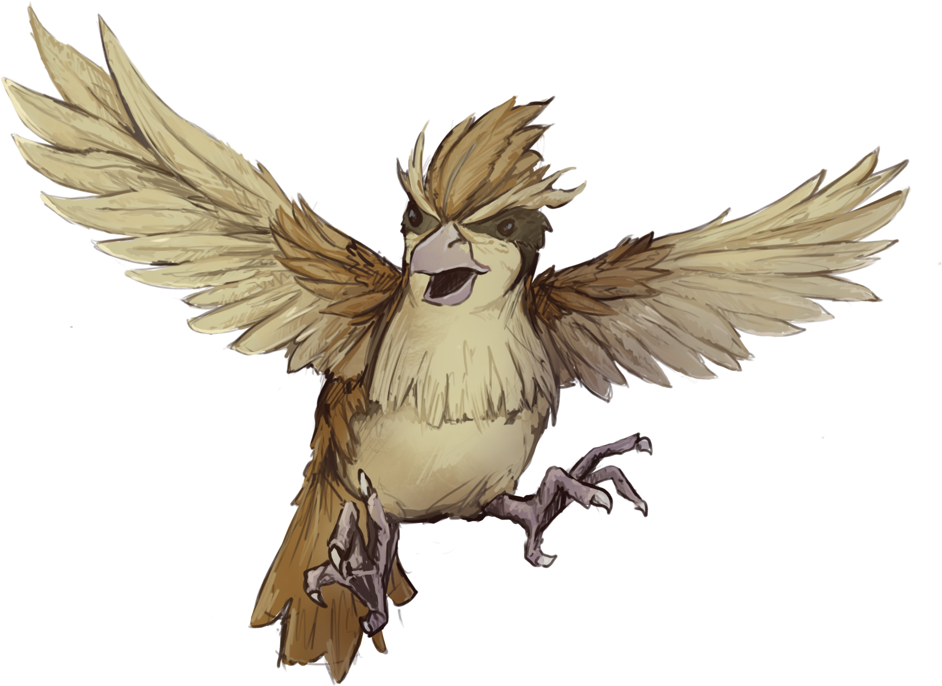 Actions - Parrot (1938x1544), Png Download