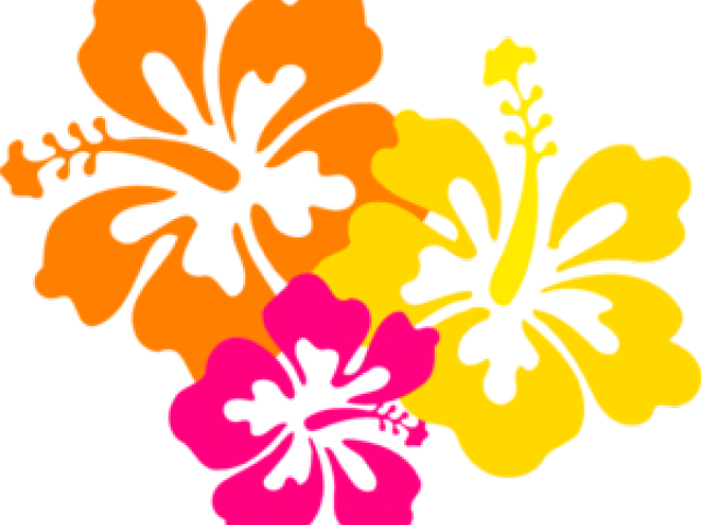 Flowers Borders Clipart Hawaiian Flower - Flowers Of Hawaii Png (640x480), Png Download