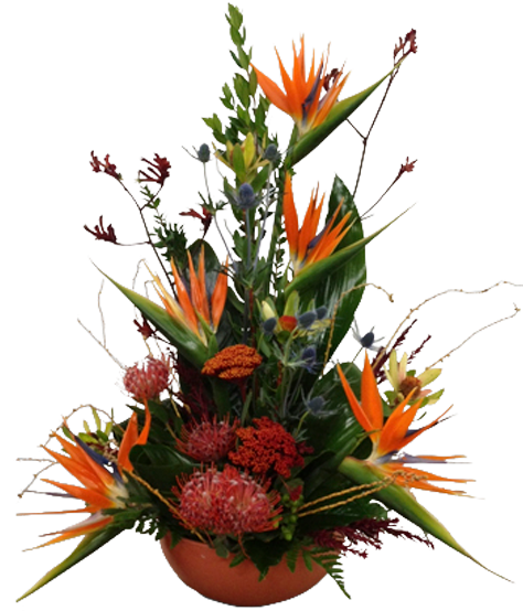 Tropical Sunset - Arreglo De Heliconias (600x600), Png Download