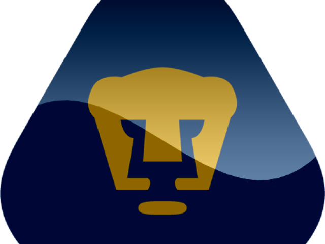 Kits Del Los Pumas (640x480), Png Download