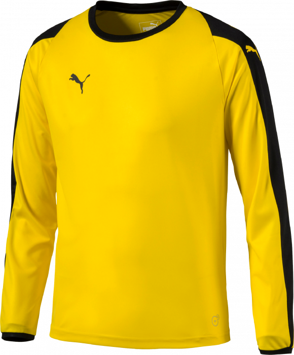 Puma Liga Gk Shirt - Long-sleeved T-shirt (580x700), Png Download