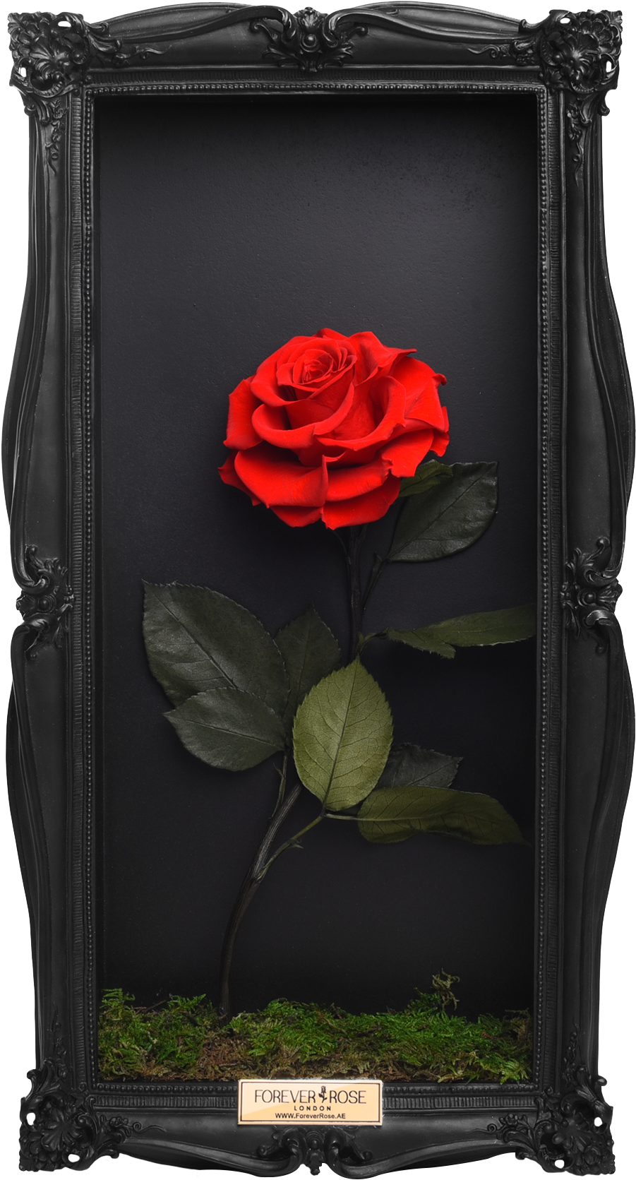 Wall Frame - Floribunda (989x1741), Png Download