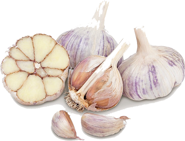 Garlic Png - Garlic (800x800), Png Download