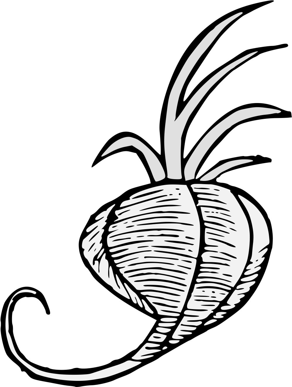 Details, Png - Illustration (1031x1349), Png Download