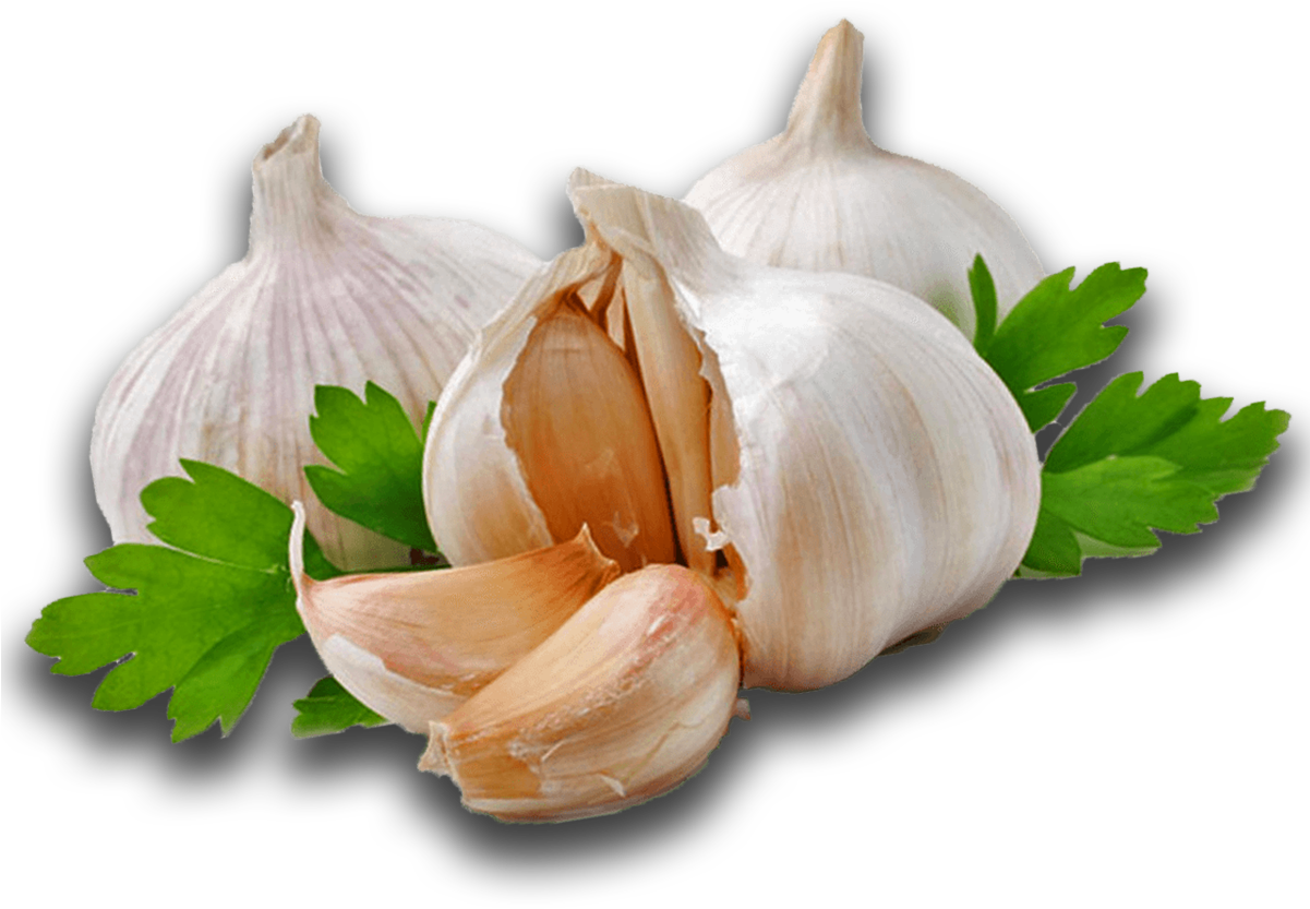 Garlic - Garlic China Png (1200x1200), Png Download