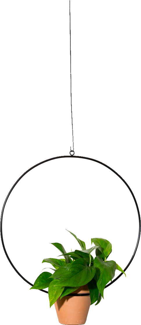 Hanging Circle Planter 18" (933x1400), Png Download