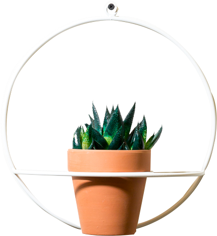 Circle Wall Planter - Flowerpot (933x1400), Png Download