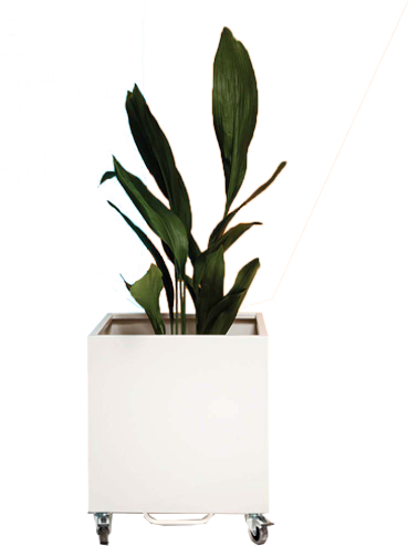 Web Cubic Planter - Houseplant (600x600), Png Download