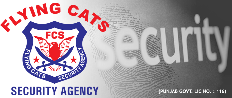 Flying Cats Security Agency - Poster (962x402), Png Download