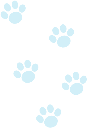 Pooch-footprints (960x478), Png Download