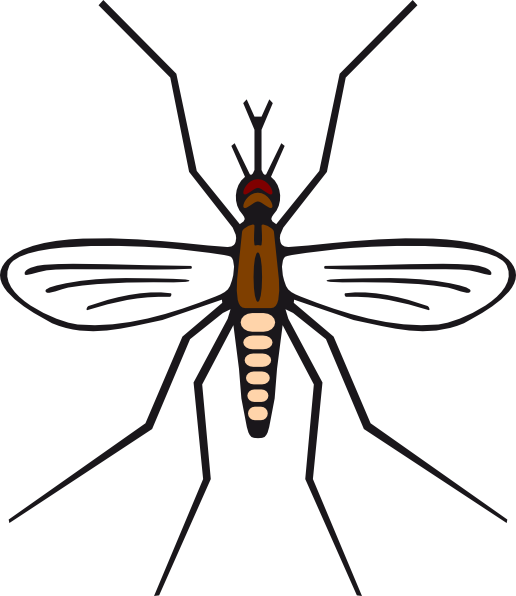 Clip Art Transparent Stock In Brown Color Clip Art - Simple Easy Mosquito Drawing (516x596), Png Download