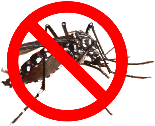 Mosquito Barrier Spray - Aedes Aegypti (1000x421), Png Download