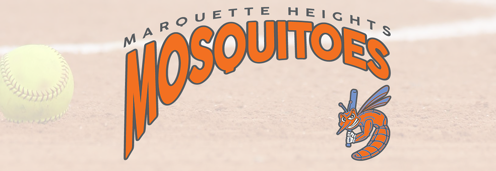 Mosquitoes-header - Illustration (984x339), Png Download