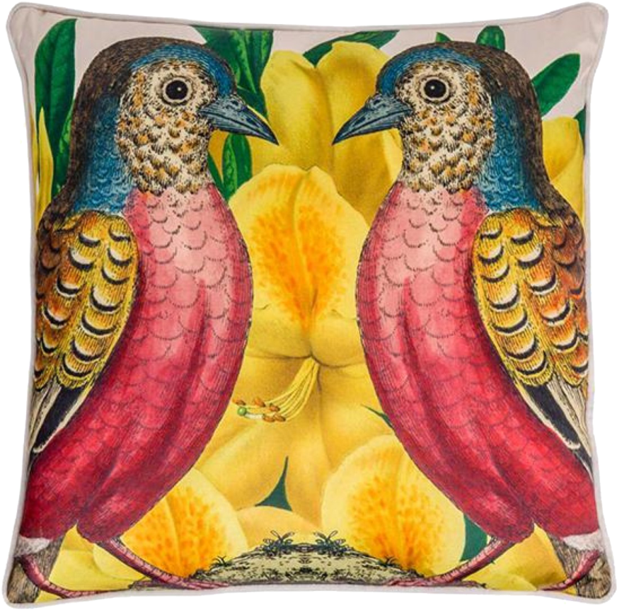 Cushion (1024x1024), Png Download