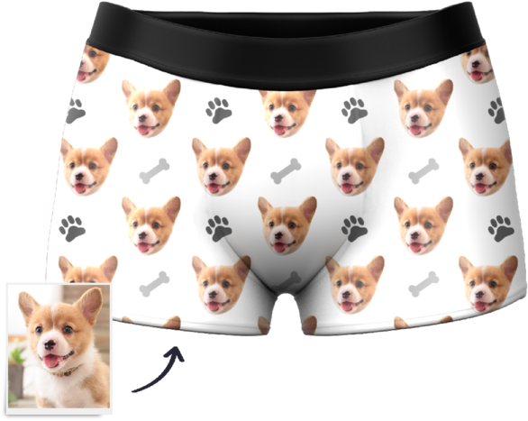 Custom Dog Boxer Shorts - Pembroke Welsh Corgi (600x600), Png Download