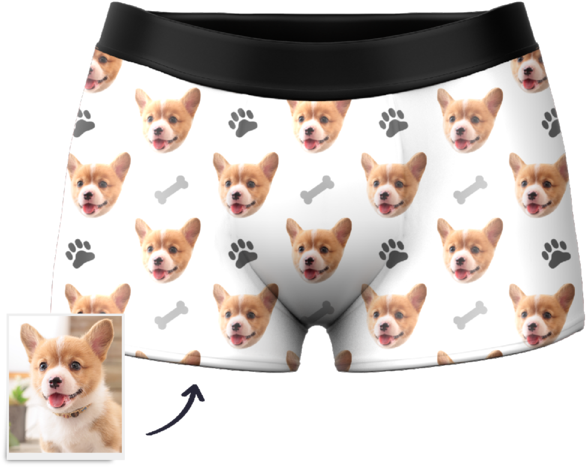 corgi boxer shorts