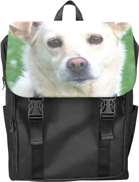 Dog Face Close-up Casual Shoulders Backpack - Backpack (800x800), Png Download