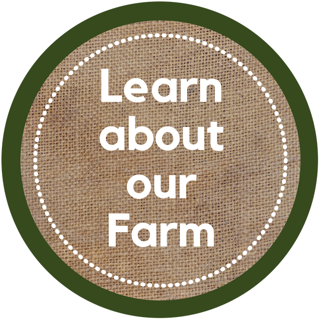 Learn About The Farm - Circle (800x800), Png Download