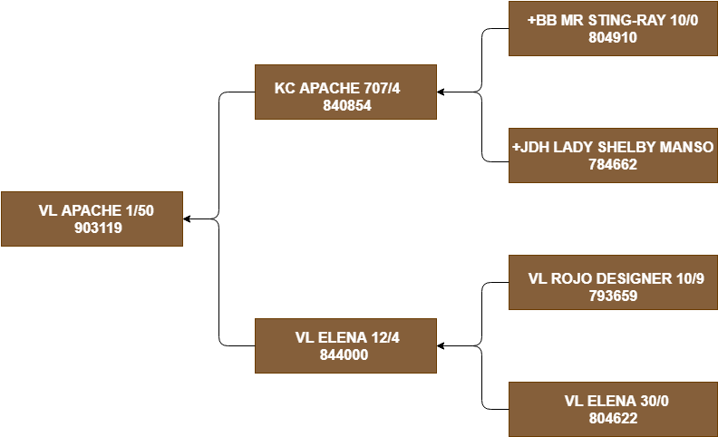 Awards - Diagram (841x491), Png Download
