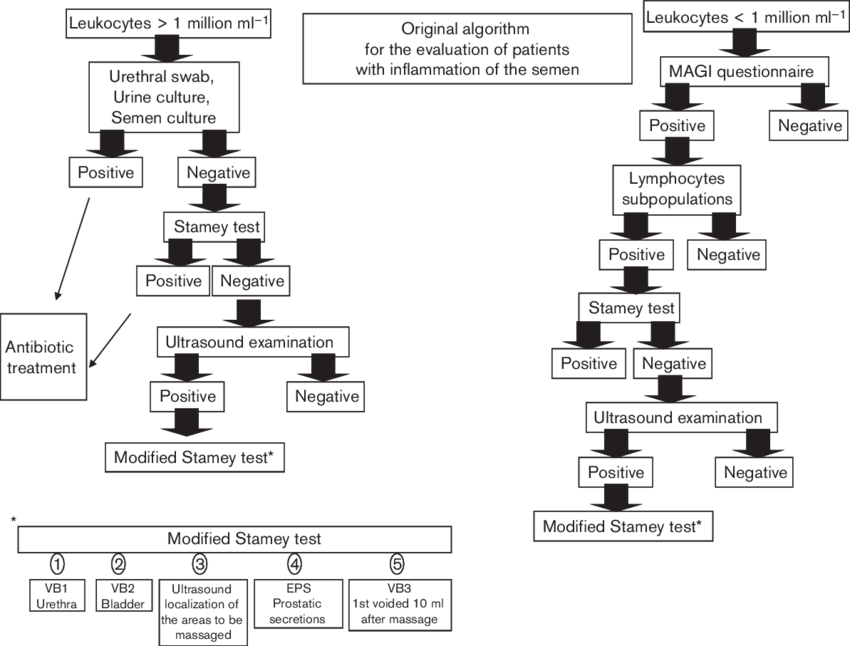 Original Algorithm For The Evaluation Of Patients With - Diagram (850x646), Png Download