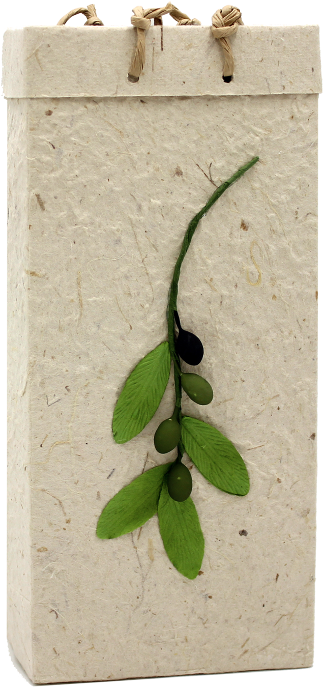 Gift Bag - Handmade Paper - Olive Branch - Natural - Paper Bag (1400x1400), Png Download